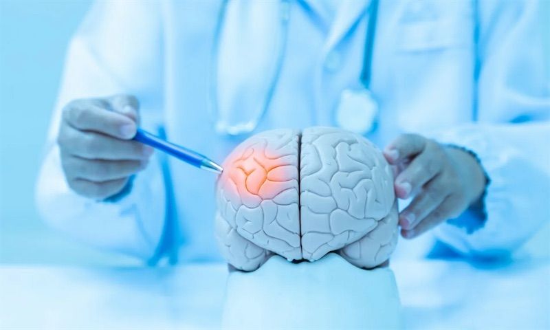 Российские ученые первыми создали комплекс для быстрой оценки кровоснабжения мозга Российские ученые первыми создали комплекс для быстрой оценки кровоснабжения мозга